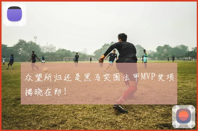 众望所归还是黑马突围法甲MVP奖项揭晓在即！