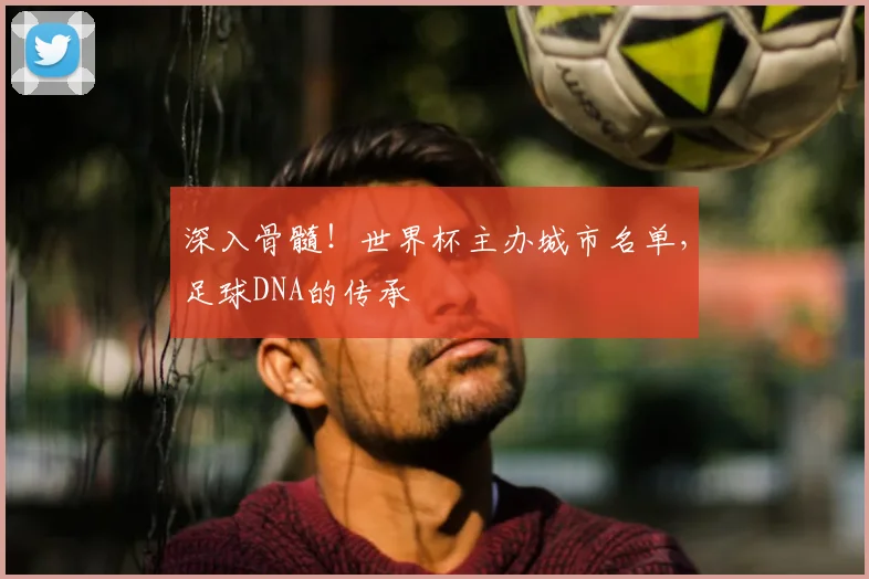 深入骨髓！世界杯主办城市名单，足球DNA的传承