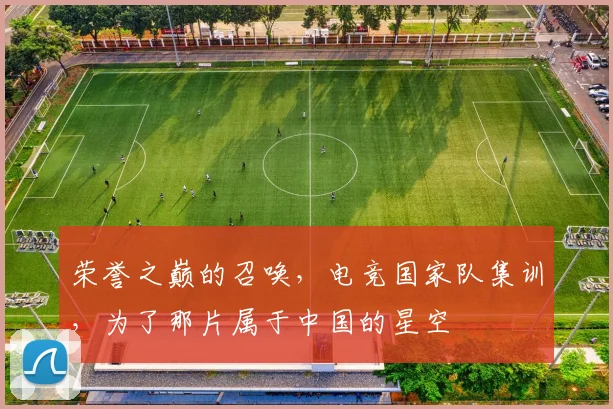 荣誉之巅的召唤，电竞国家队集训，为了那片属于中国的星空